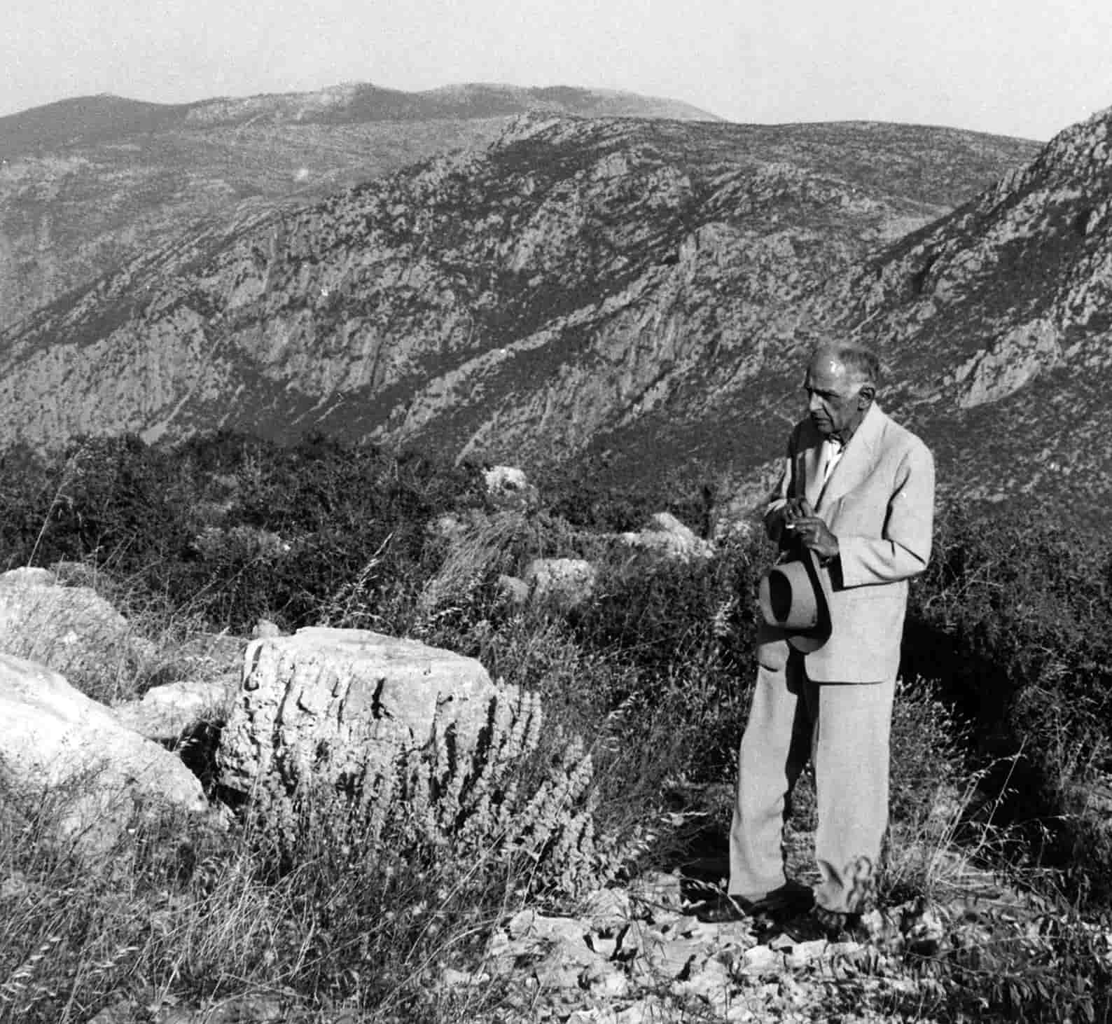Δημήτρης Πικιώνης © Αγνή Δ. Πικιώνη.