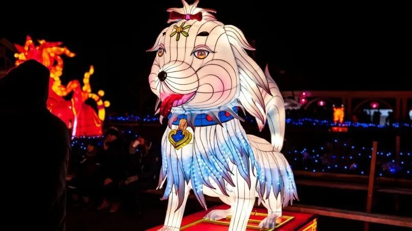 Year of the Dragon 2024: Η χρονιά του ξύλινου Δράκου φέρνει ευκαιρίες & αλλαγές 12 Year of the Dragon 2024: Η χρονιά του ξύλινου Δράκου φέρνει ευκαιρίες & αλλαγές