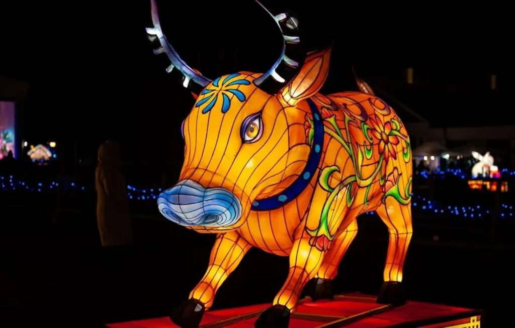 Year of the Dragon 2024: Η χρονιά του ξύλινου Δράκου φέρνει ευκαιρίες & αλλαγές 3 Year of the Dragon 2024: Η χρονιά του ξύλινου Δράκου φέρνει ευκαιρίες & αλλαγές