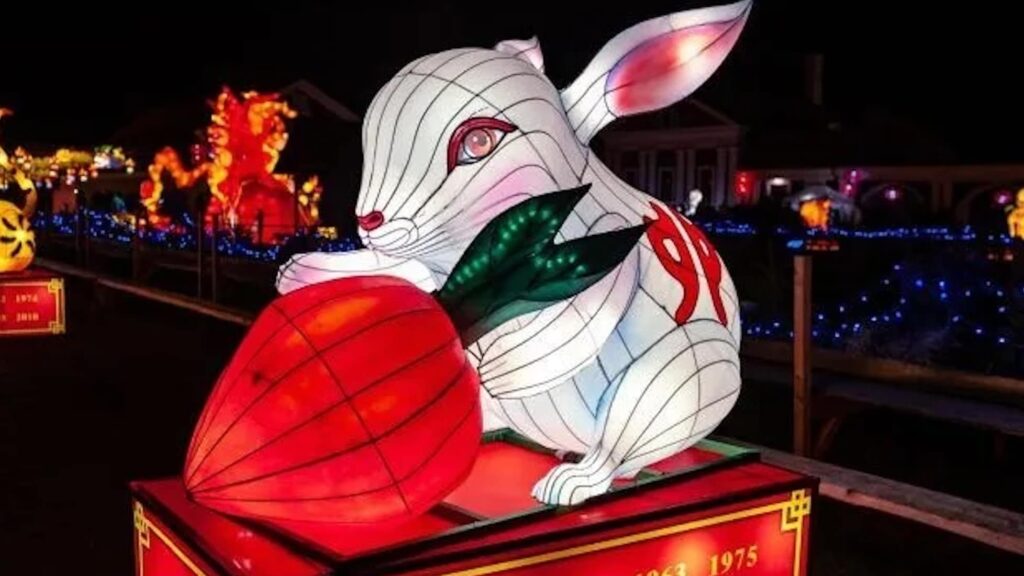 Year of the Dragon 2024: Η χρονιά του ξύλινου Δράκου φέρνει ευκαιρίες & αλλαγές 5 Year of the Dragon 2024: Η χρονιά του ξύλινου Δράκου φέρνει ευκαιρίες & αλλαγές