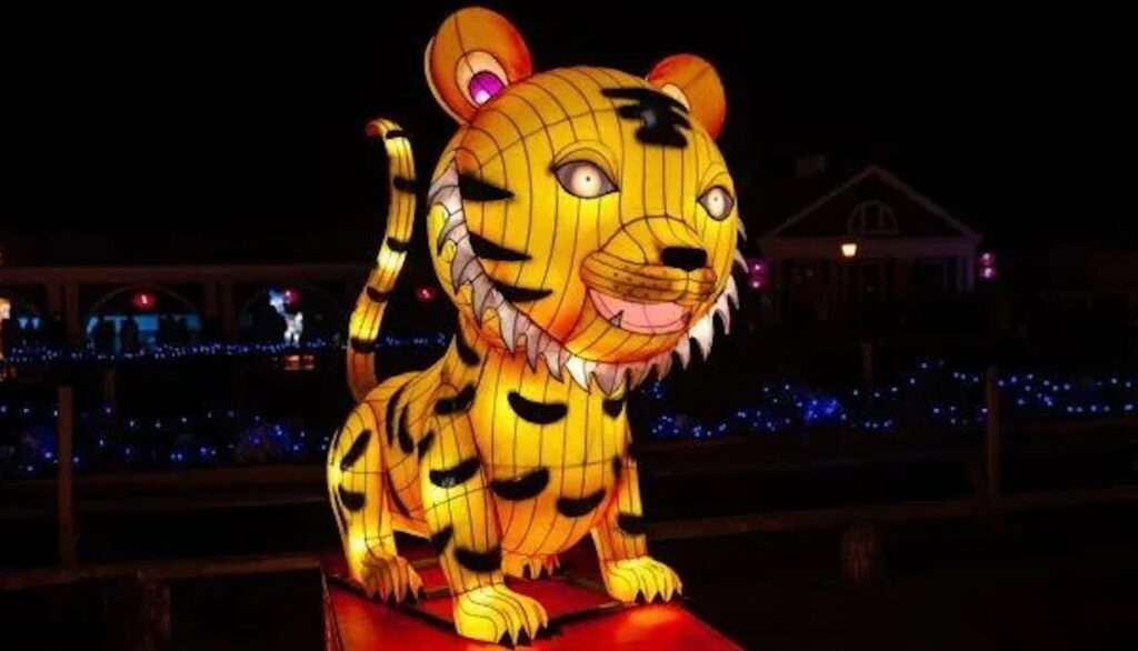Year of the Dragon 2024: Η χρονιά του ξύλινου Δράκου φέρνει ευκαιρίες & αλλαγές 4 Year of the Dragon 2024: Η χρονιά του ξύλινου Δράκου φέρνει ευκαιρίες & αλλαγές