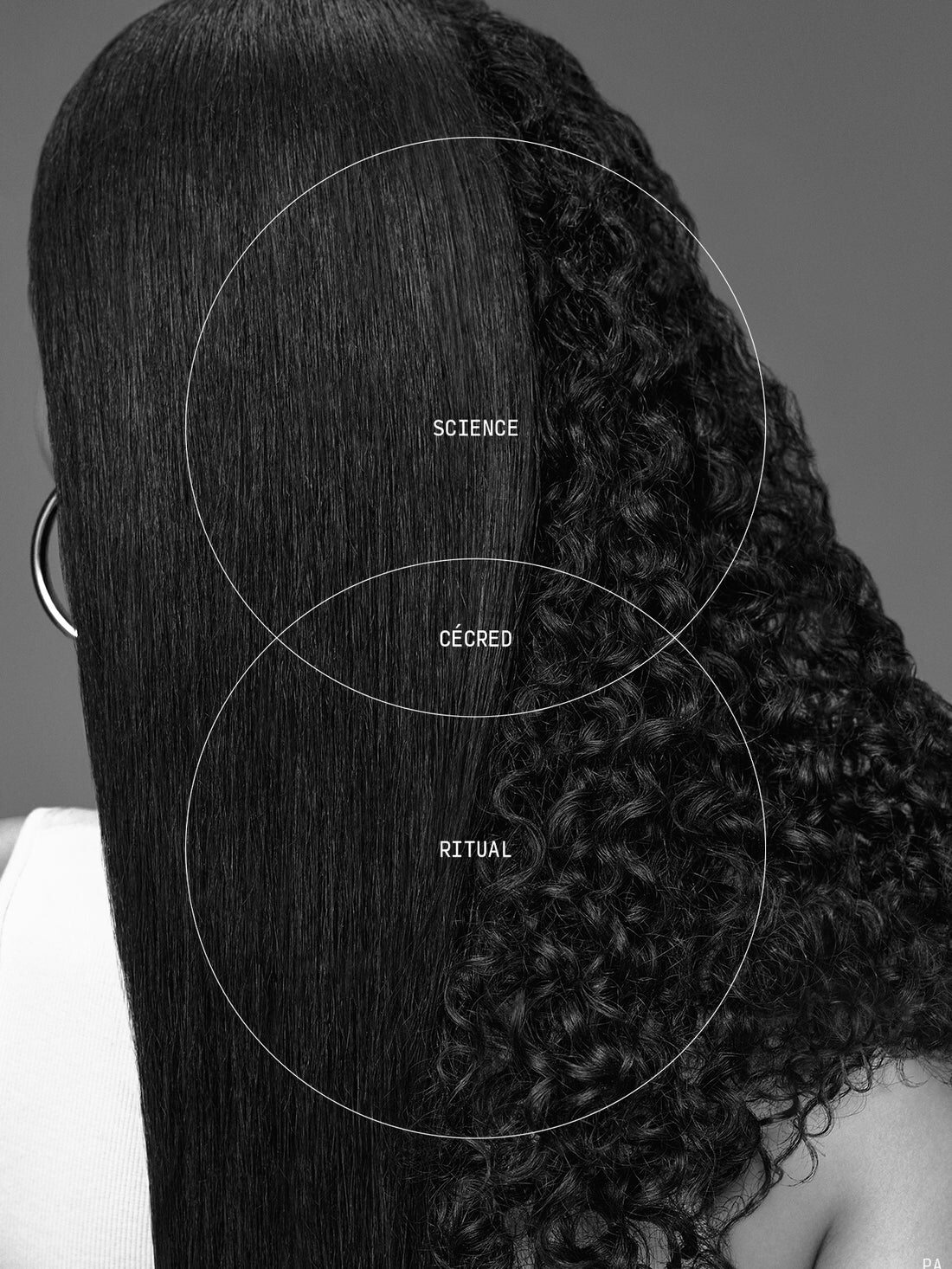 Beyoncé Cecred