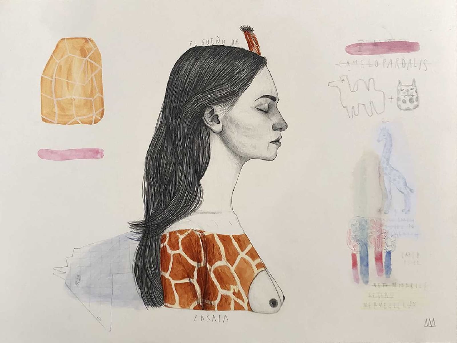 "El sueno de Zarafa" 2023 , Andrea Mateo