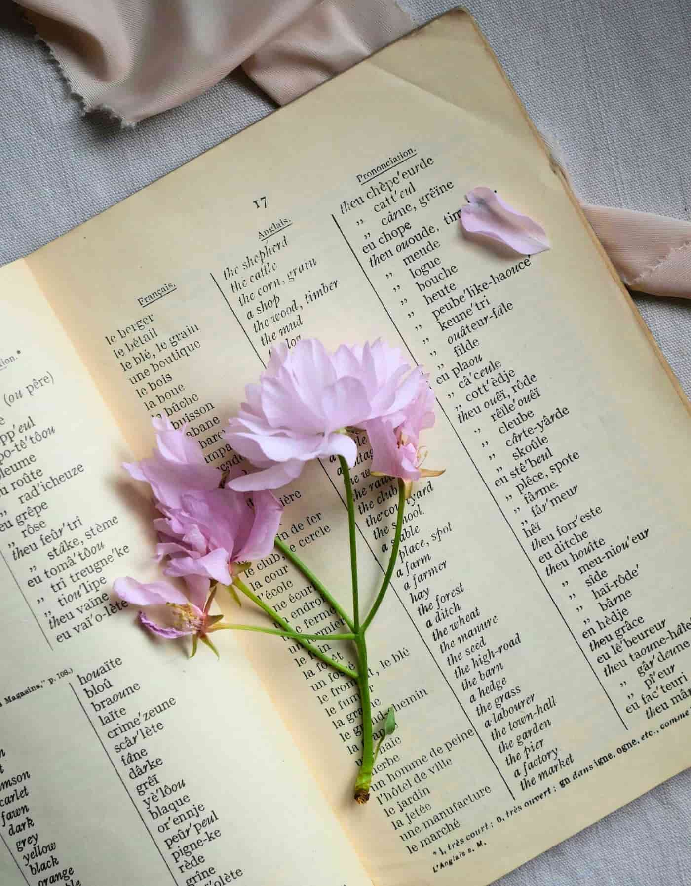 Liza Ulianova, pexels