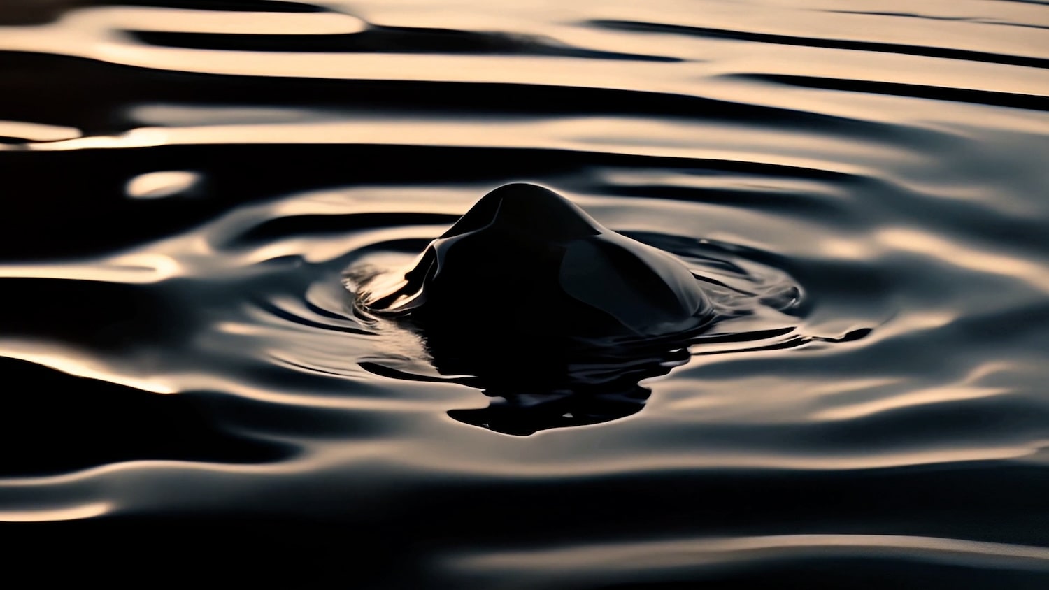 Eva Papamargariti, "All that now flows through us", Video Still 10